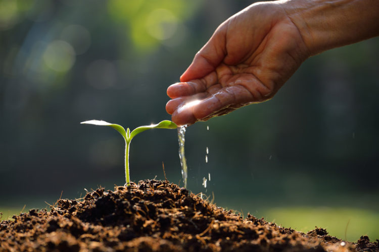 More Fertile Soils with Ecological farming