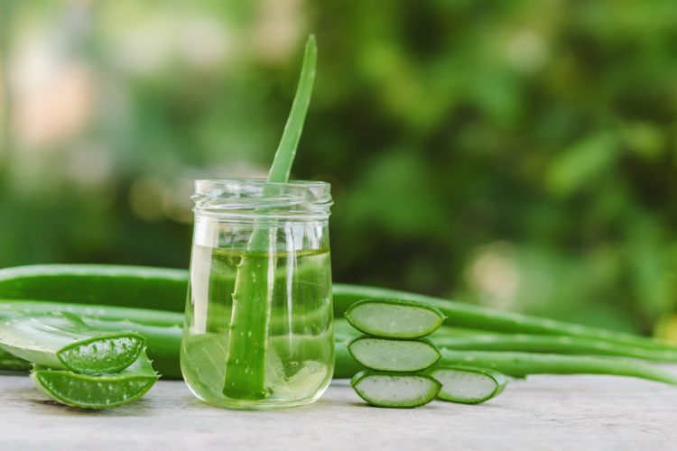 Aloe vera: ¡Que no te den polvo por jugo!