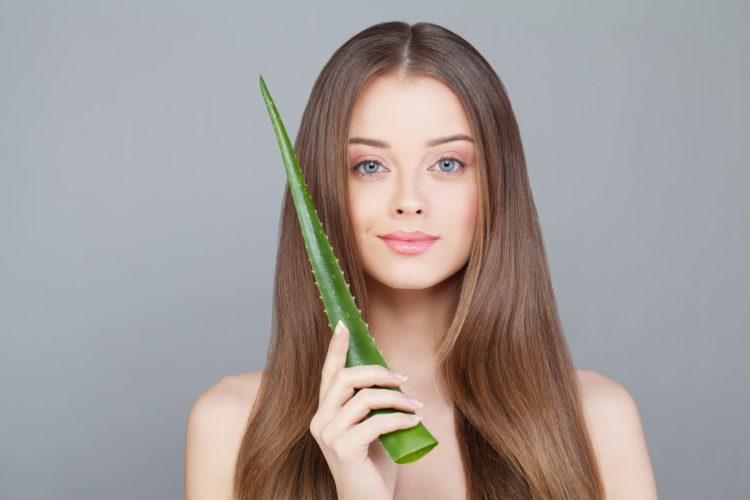 El aloe cuida el cabello en los meses de invierno