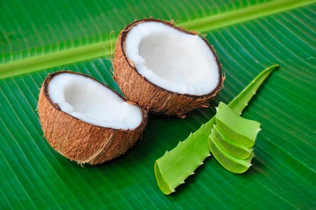 Aloe vera y coco, aliados contra las arrugas