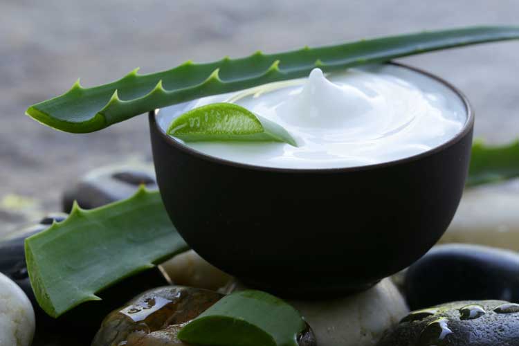 Productos de Aloe vera asiático se camuflan como «canarios»