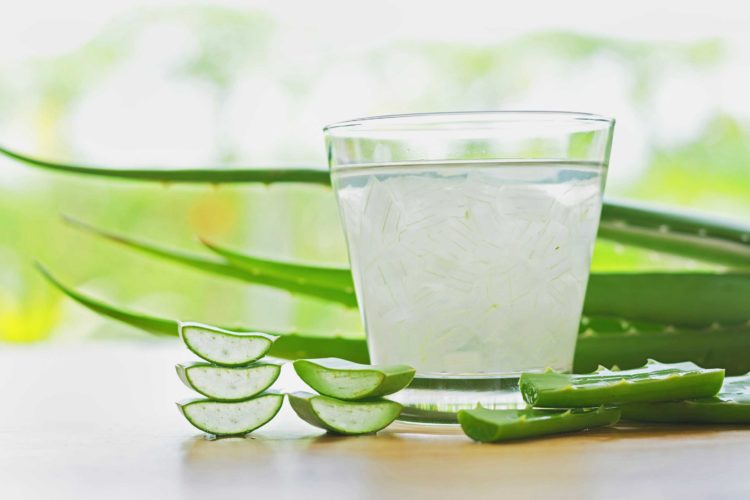 Aloe vera contra la grasa, una ayuda eficaz