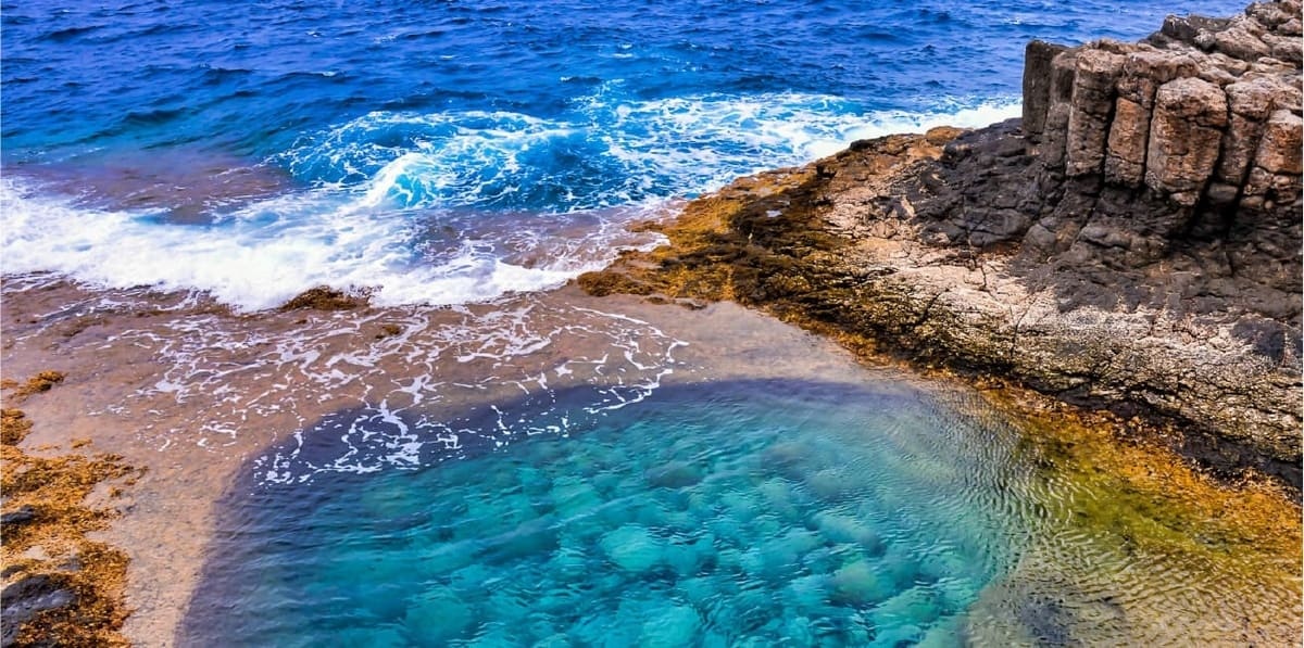 Islas Canarias Atlantialoe