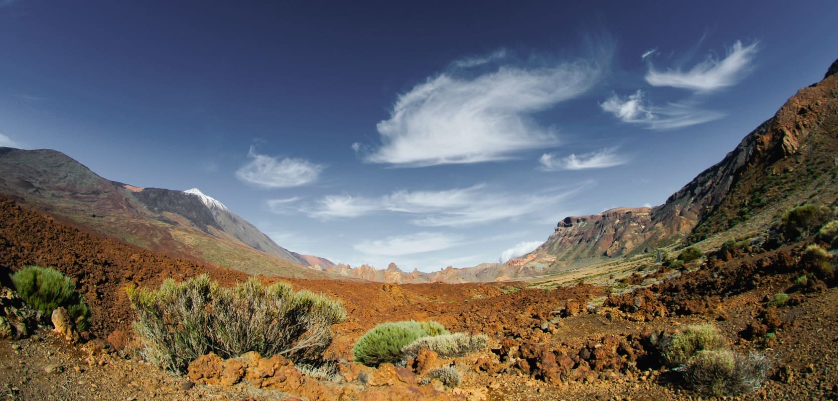 Día de canarias con Atlantia